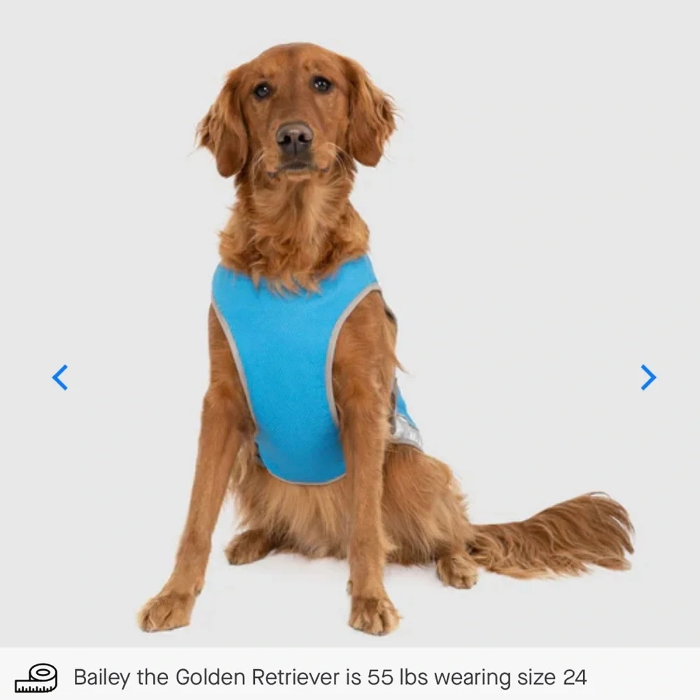 Canada Pooch Chill Seeker Cooling Vest - Blue - Size 12